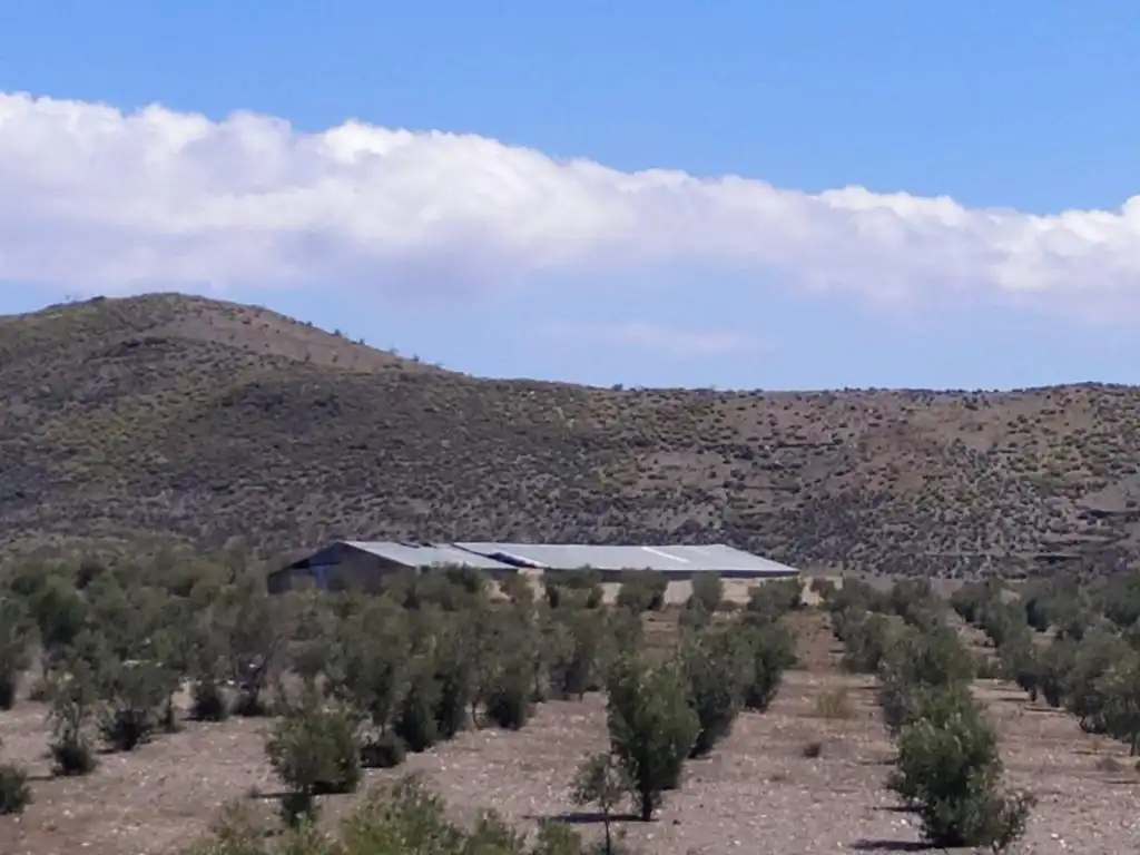 Terreno rústico en venta en RAMBLA TABERNAS, imagen 5