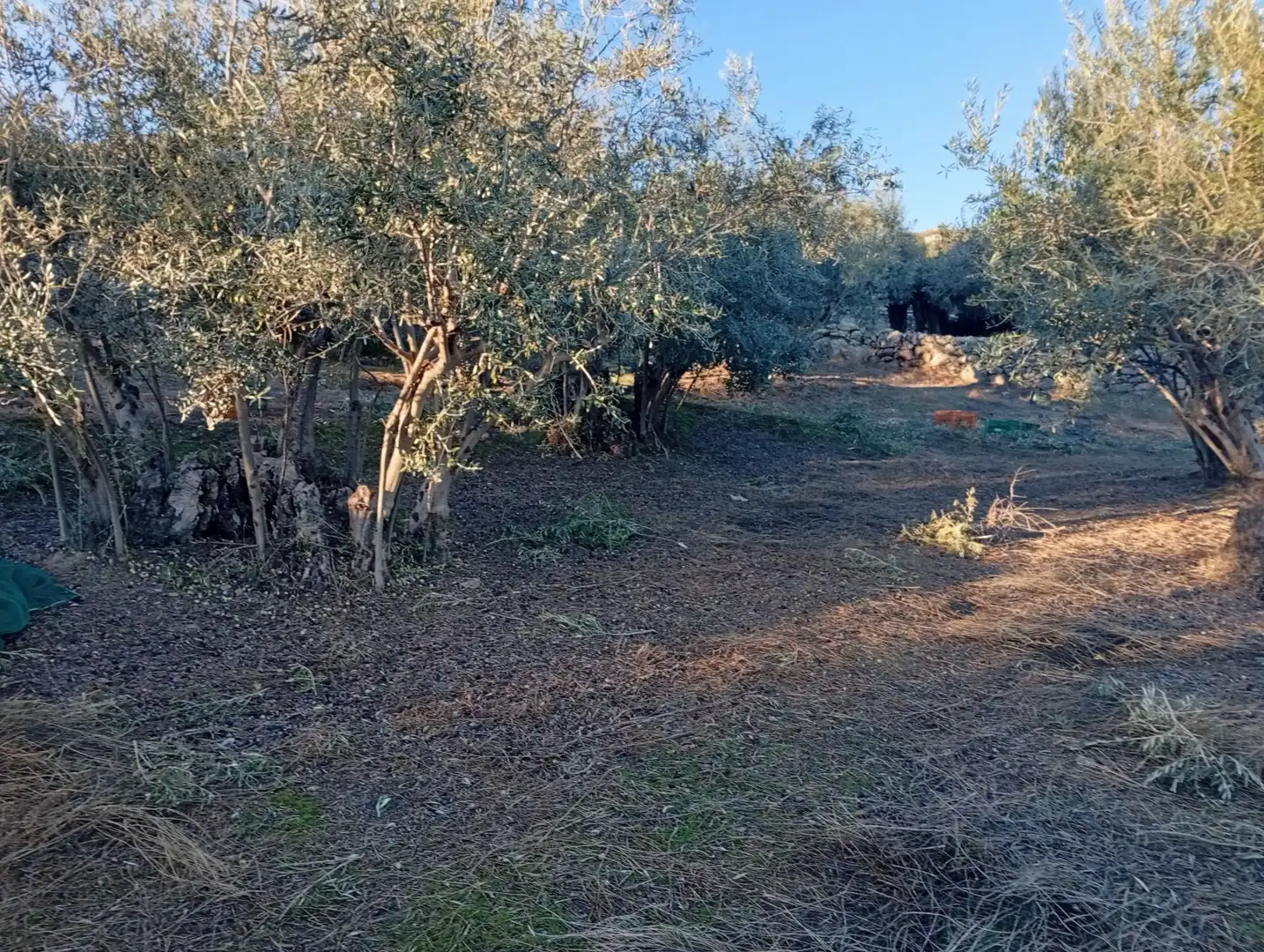 Terreni e lotti in vendita a Villanueva de la Vera, imagen 16