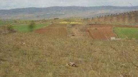 FINCA RUSTICA EN LLERA, image 2