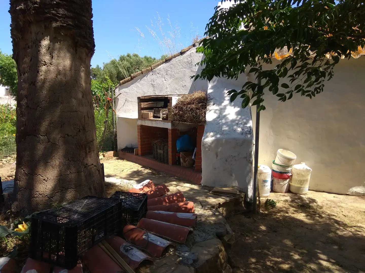 Terrain rustique à vendre à Vejer, imagen 6