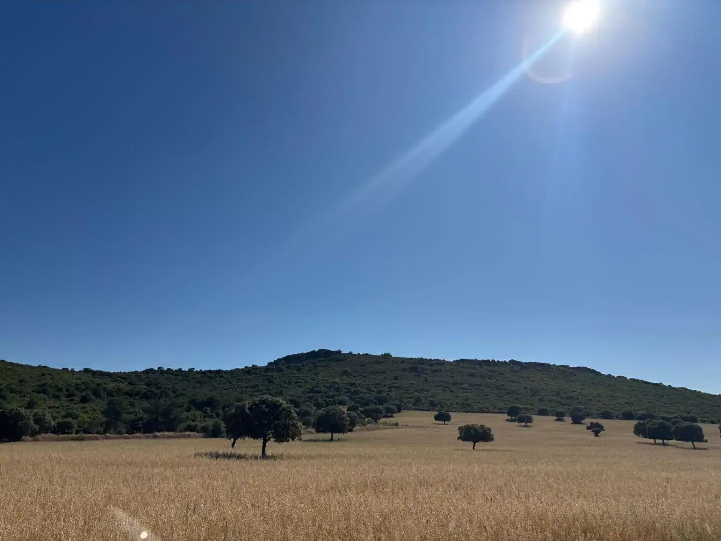 Finca rústica en venda en Ciudad Real
