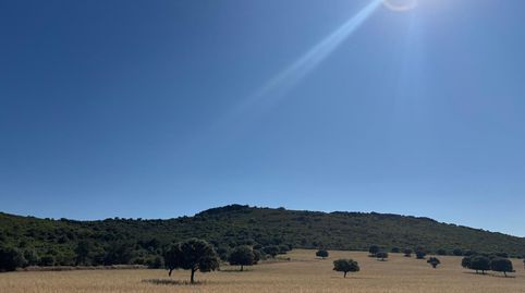 Foto 5 de Finca rústica en venda a Área Rural-Valverde-Las Casas, Ciudad Real Capital