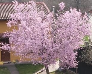 Jardí de Casa o xalet en venda en La Vecilla amb Jardí privat