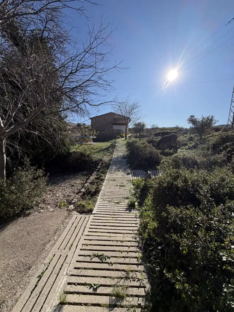 Vista exterior de Edificio en venta en Vilar de Canes