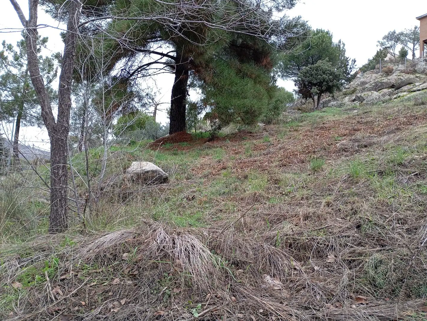 Terreni e lotti in vendita a Robledo de Chavela, imagen 16