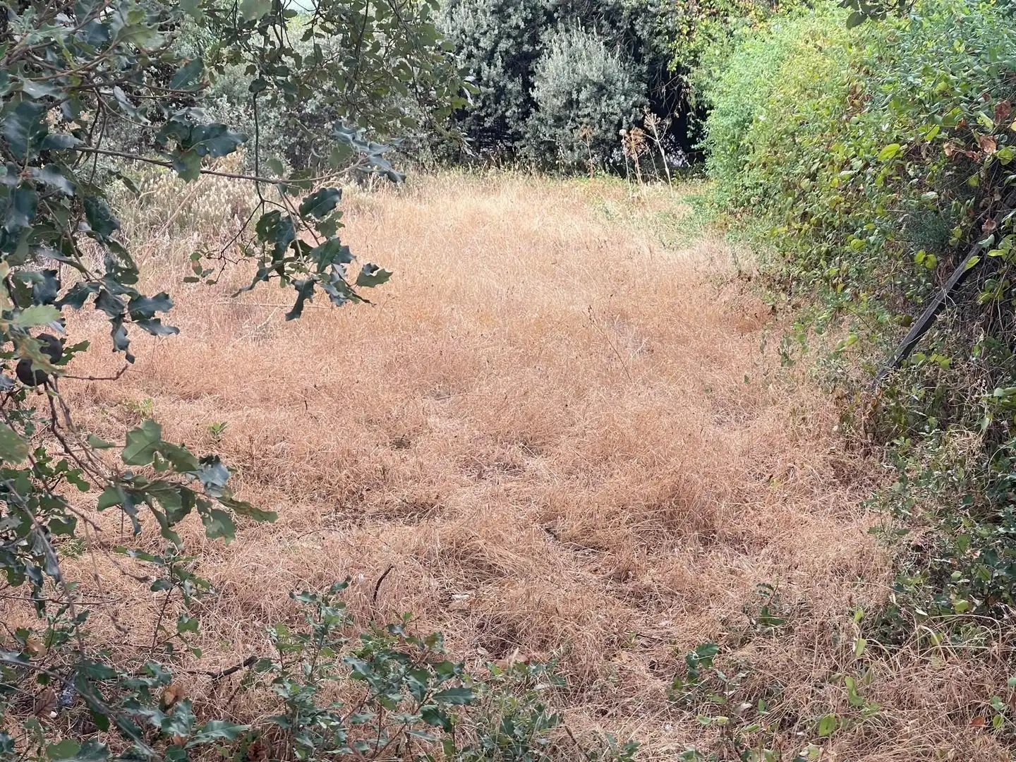 Terreno residenziale in vendita a El Casar, imagen 10