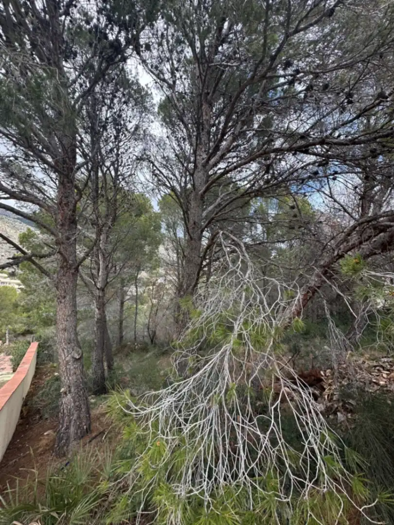 Residential land for sale in Altea Hills, imagen 5