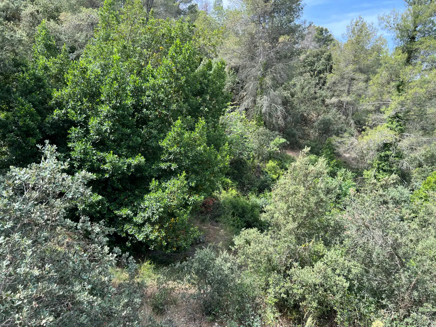 Terreno en venta en Torroja del Priorat