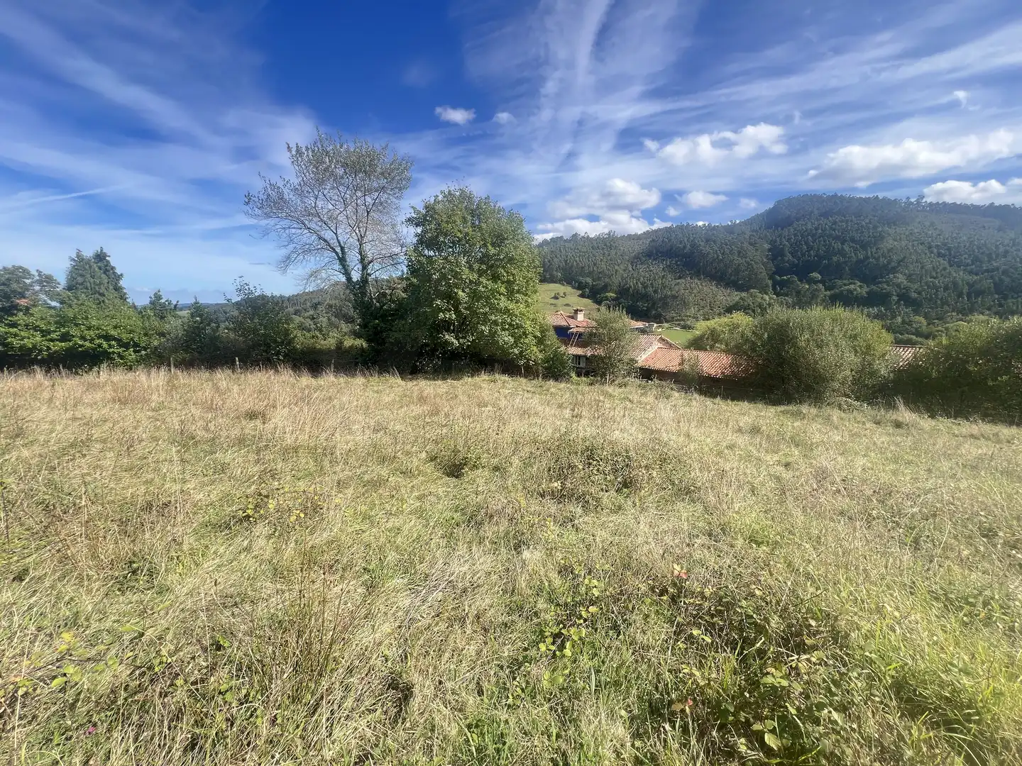 Lands and plots for sale in Pillarno, imagen 4