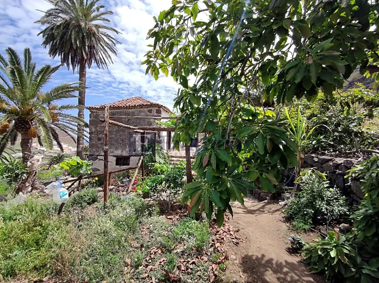 Country homes for sale in Buenavista del Norte