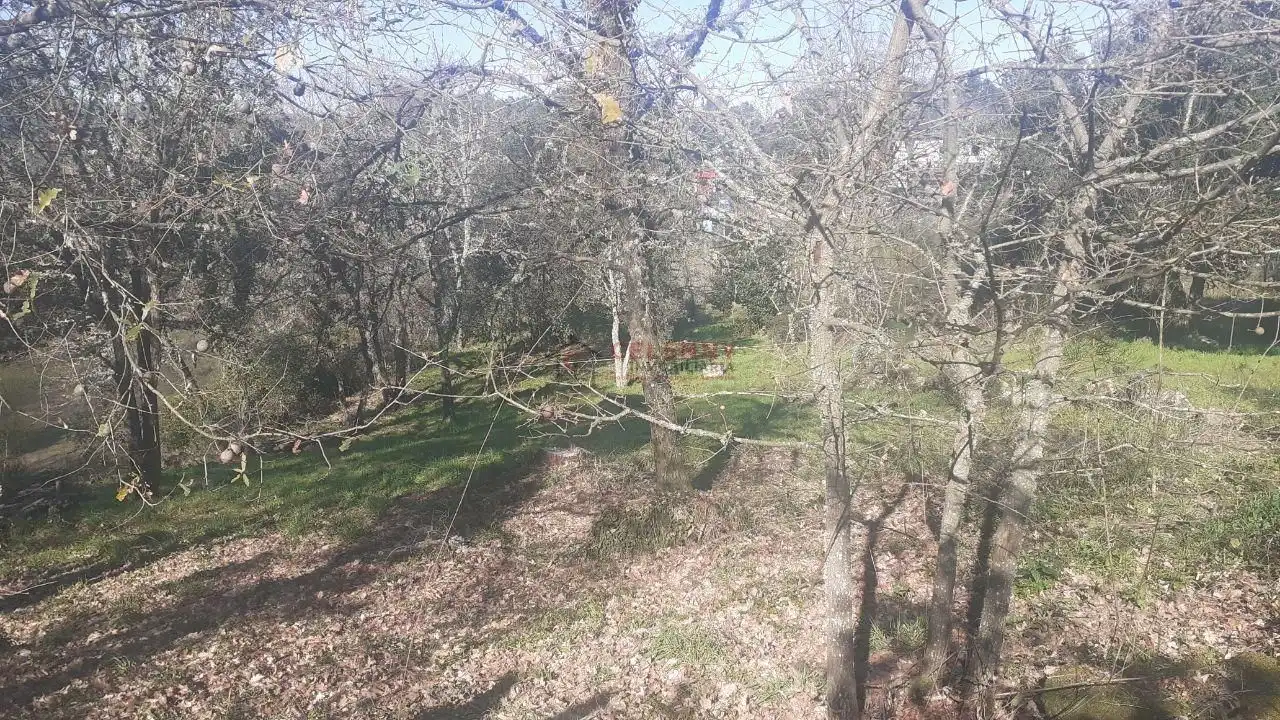 Terreni e lotti in vendita a San Cibrao das Viñas, imagen 8