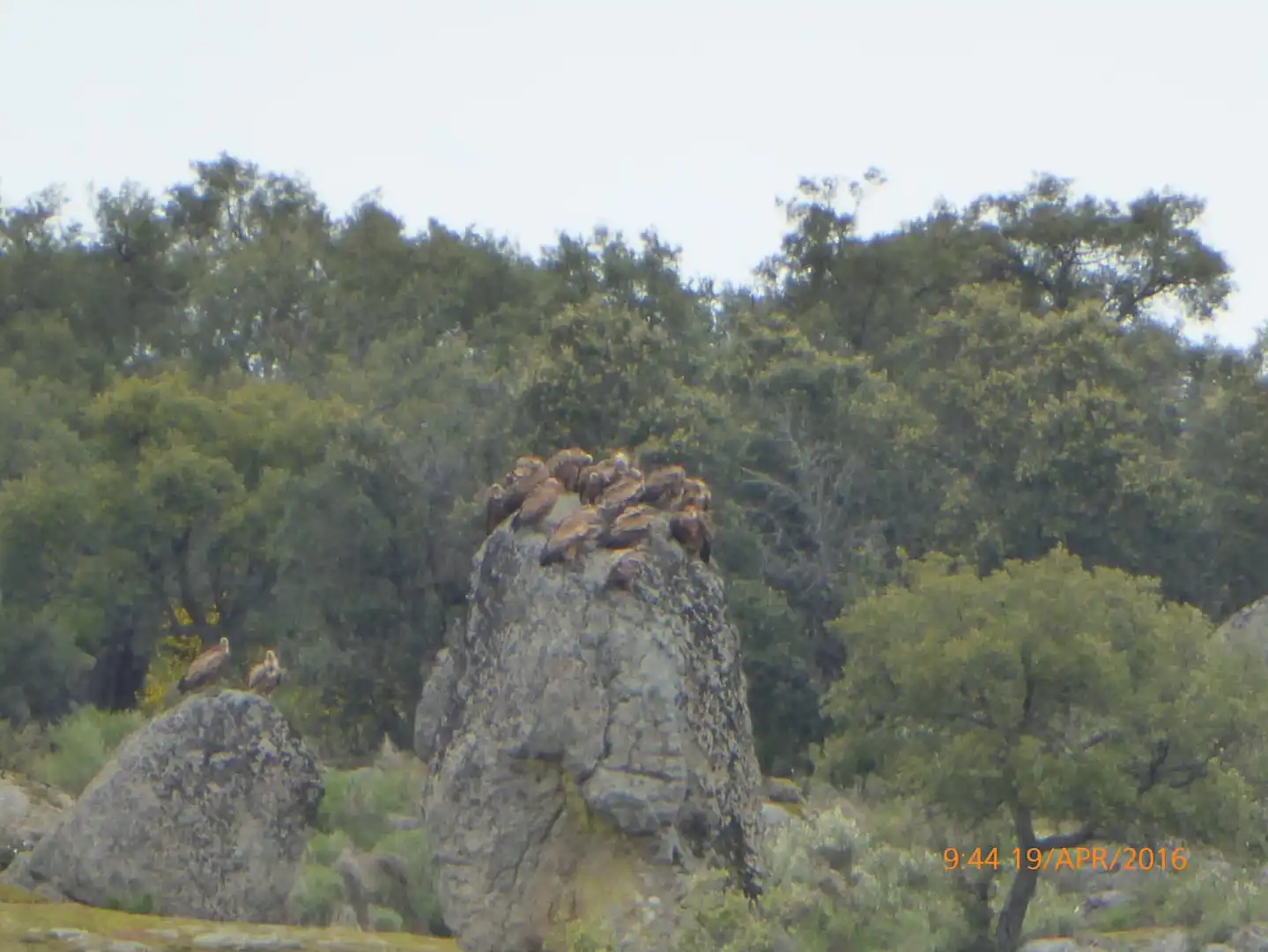 Vista exterior de Finca rústica en venta en Montánchez con Aire acondicionado, Calefacción y Jardín privado