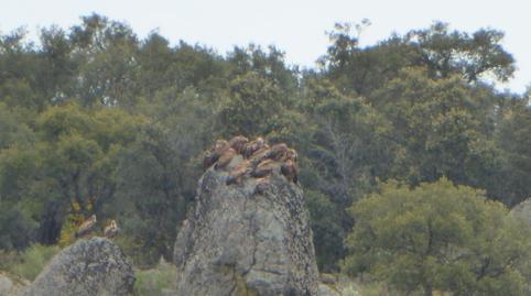 Photo 4 of Country house for sale in N/a, Montánchez, Cáceres