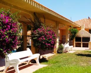 Jardí de Casa o xalet en venda en Benidorm amb Terrassa