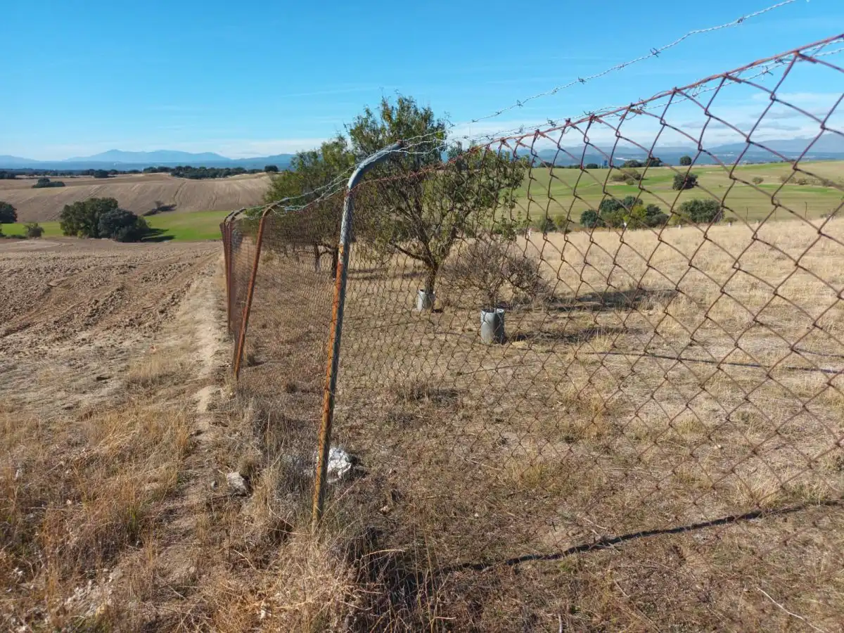 Finca rústica en venta en Brunete