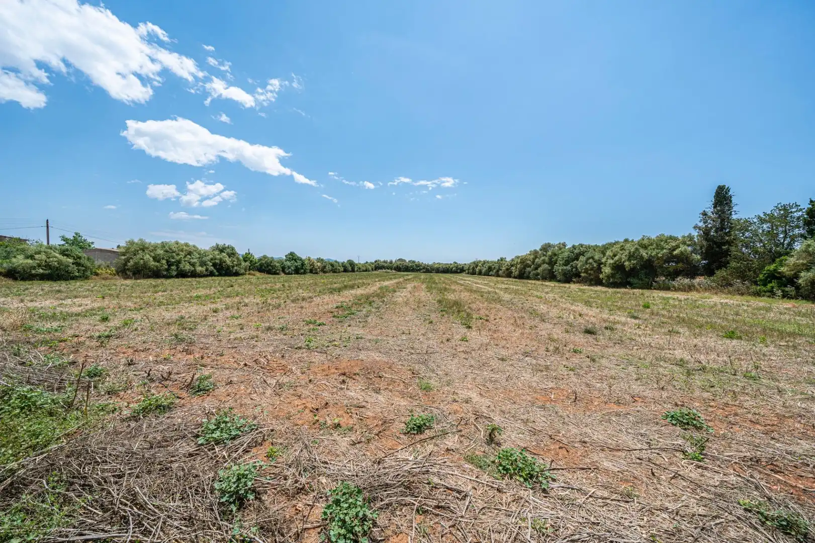 Rural land for sale in Felanitx Poble, imagen 3