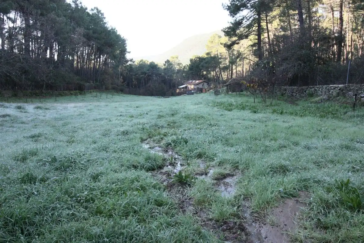 Finca rústica en venda en Santa Cruz del Valle amb Internet