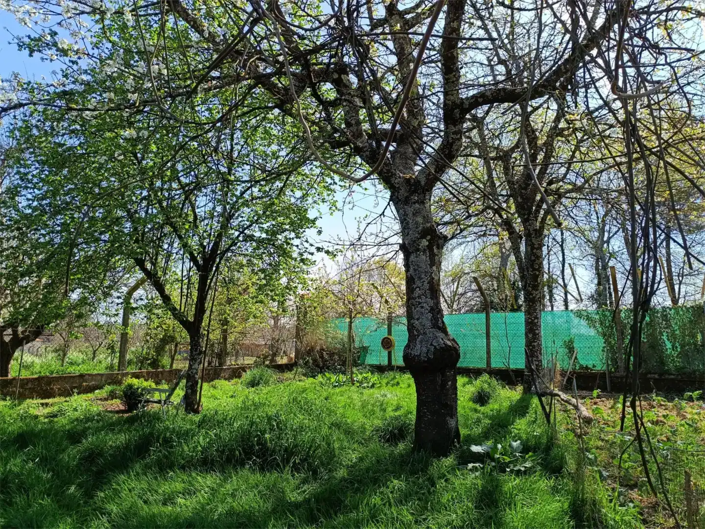 Casa o xalet en venda en O Carballiño   amb Balcó
