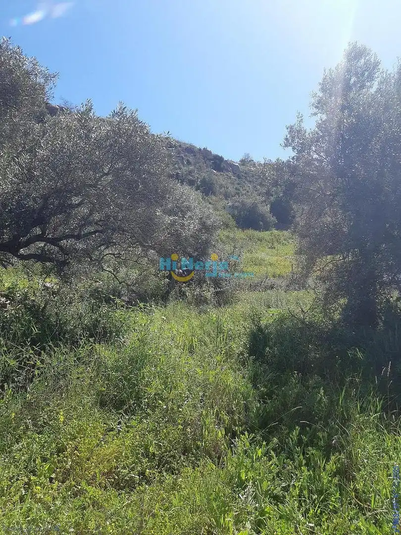 Terreni e lotti in vendita a Torrox Pueblo, imagen 15