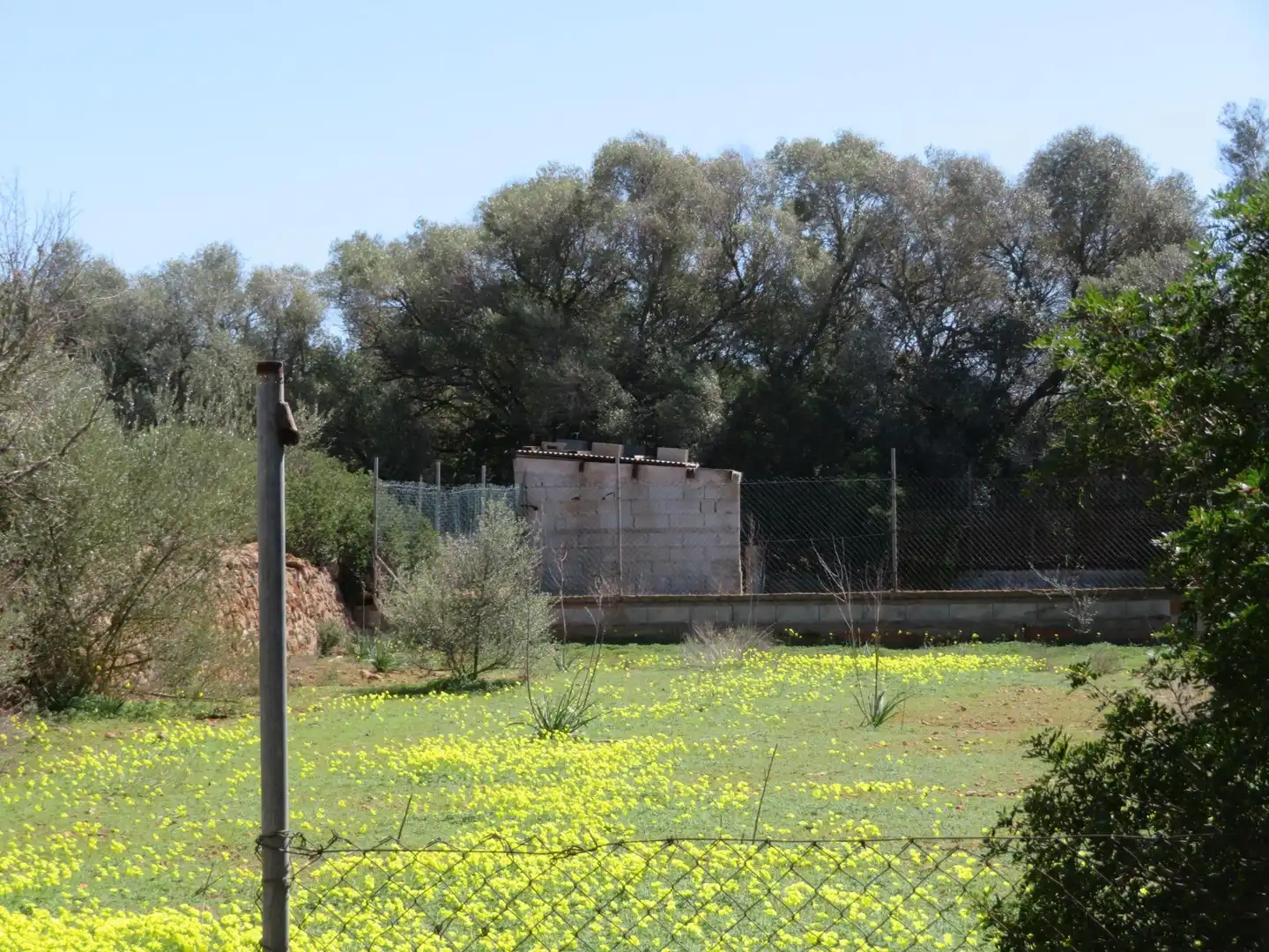 Maison rustique à vendre à Cala Pi - Vallgornera, imagen 18