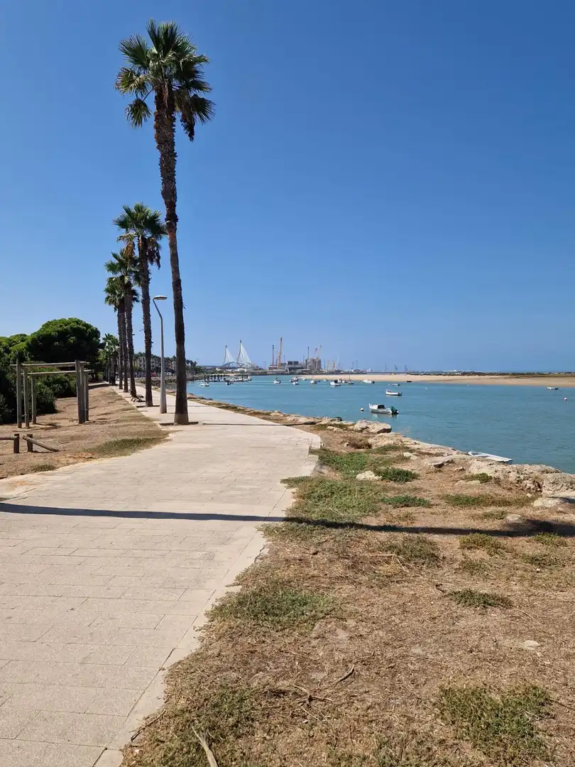 Piso con ascensor en venta en Barriada Río San Pedro, imagen 2