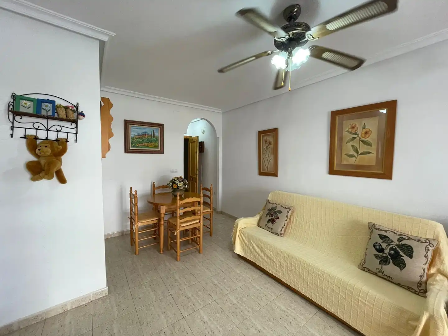 Appartement compact avec terrasse à louer à La Mata, imagen 4