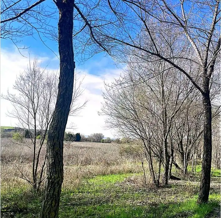 Residential land for sale in SP.P.P.12, imagen 5