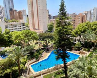 Swimming pool of Apartment to rent in Benidorm  with Air Conditioner and Terrace