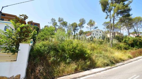 TERRENO EN MAS MESTRE, OLIVELLA, immagine 3