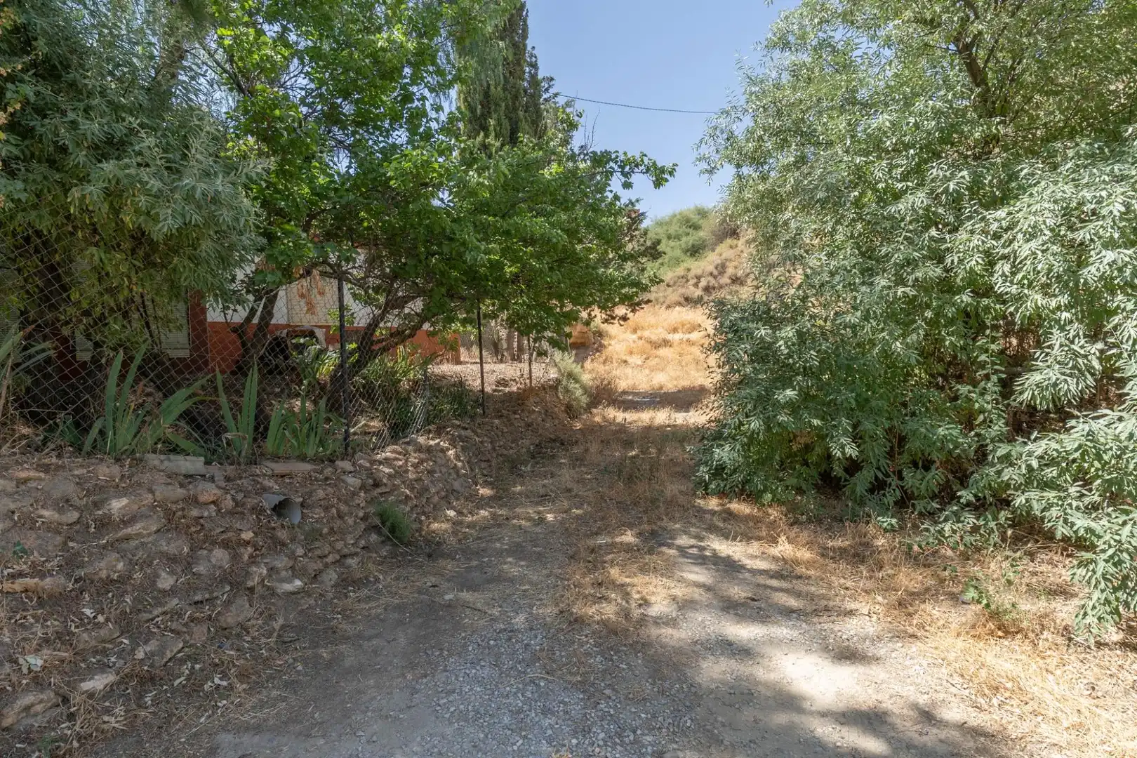 Finca rústica en venta en Caniles