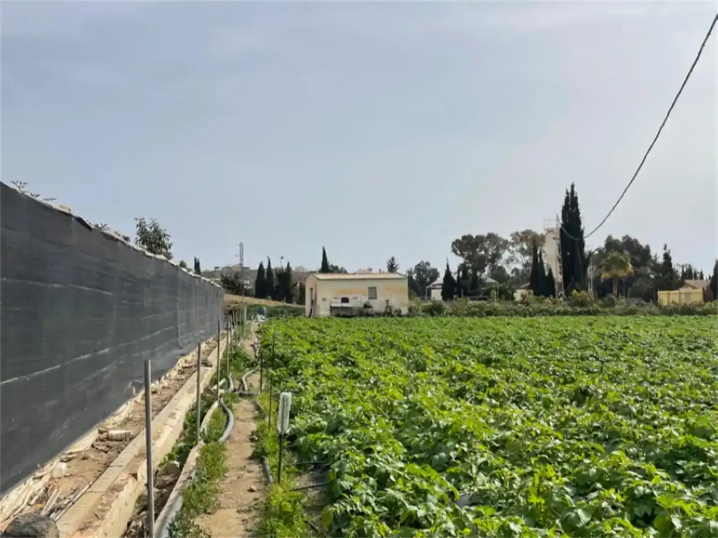 Jardí de Finca rústica en venda en Algarrobo