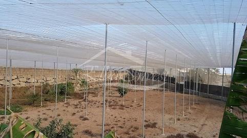 Photo 4 of Building for sale in Chimiche, Santa Cruz de Tenerife