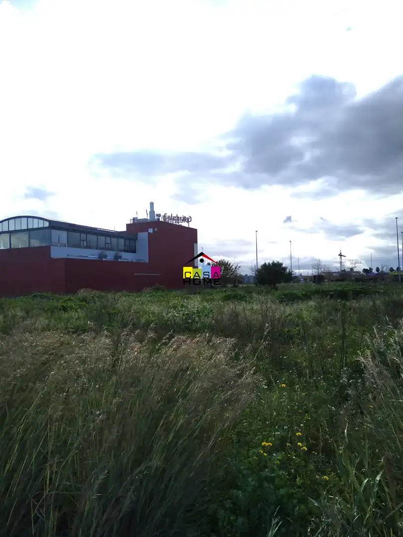 Industrial land for sale in Este, imagen 4
