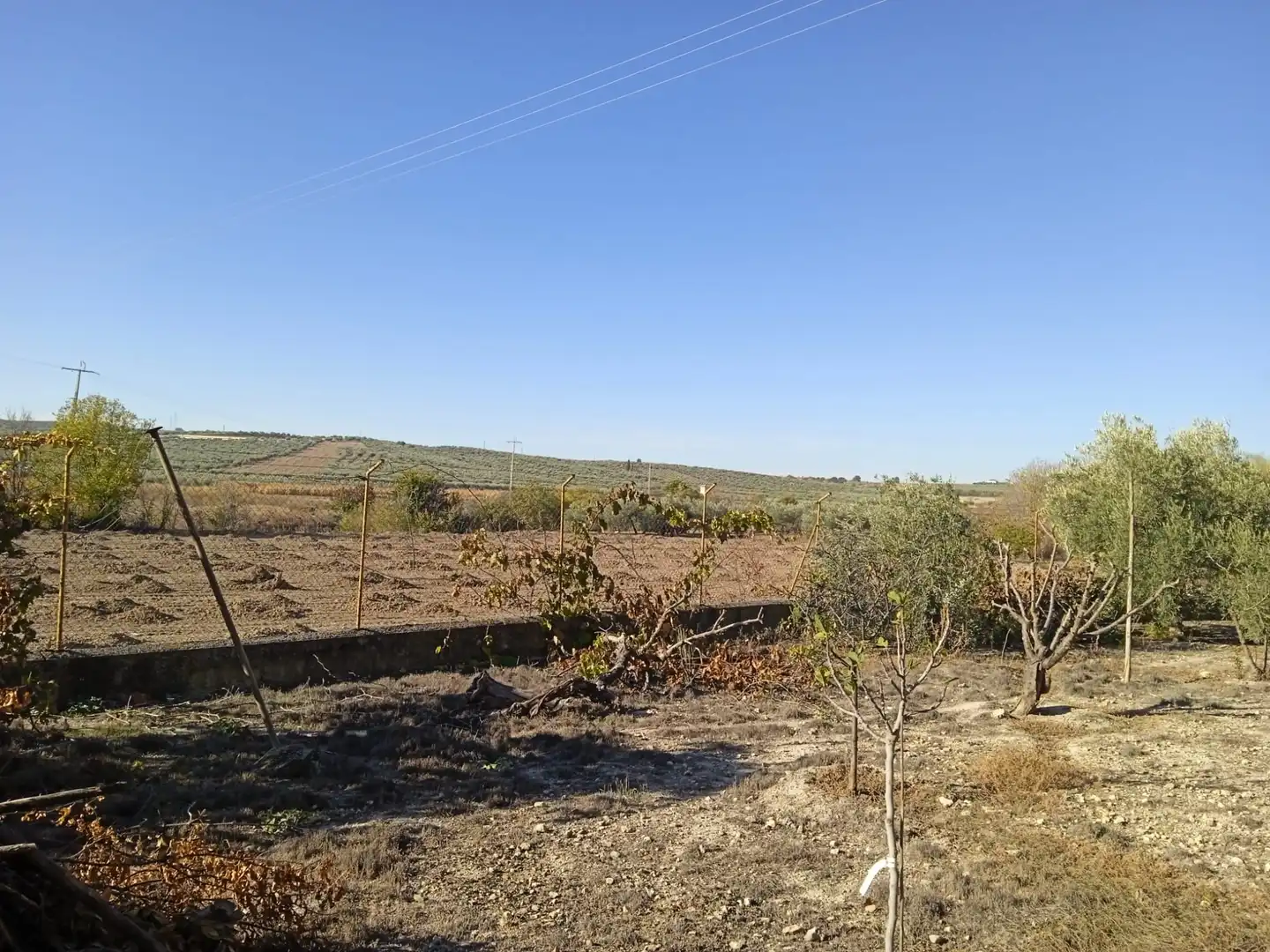 Casa en venda a Íllora, imagen 16