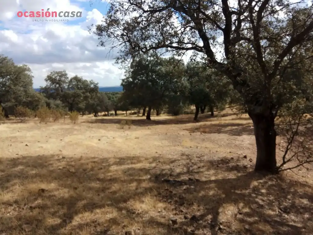 Finca rústica en venta en Villanueva del Duque
