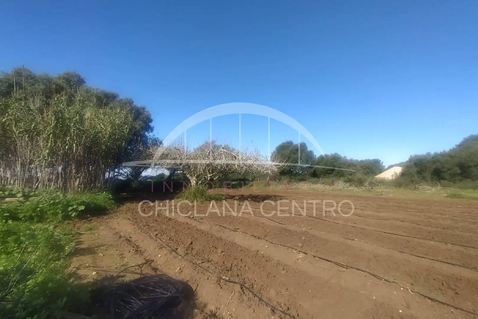 Casa rústica amb jardí en venda a Pelagatos - Pago del Humo, imagen 4