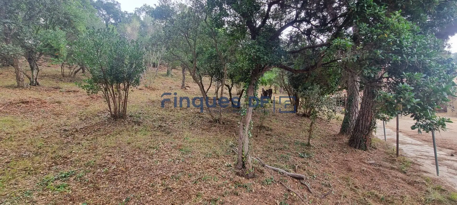Xalet amb piscina en venda a Aiguaviva Parc, imagen 76