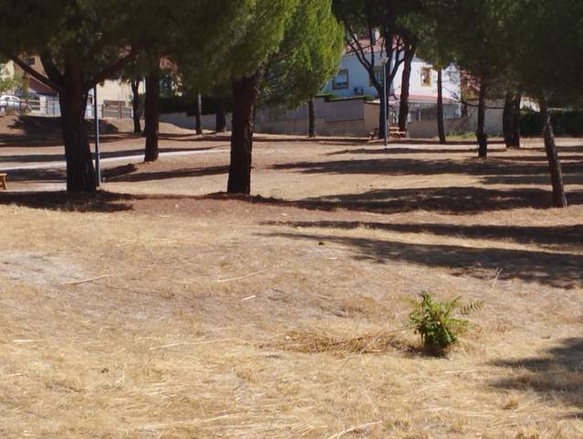 Finca rústica en Venta en Calle Santa Cecilia en Valdemaqueda