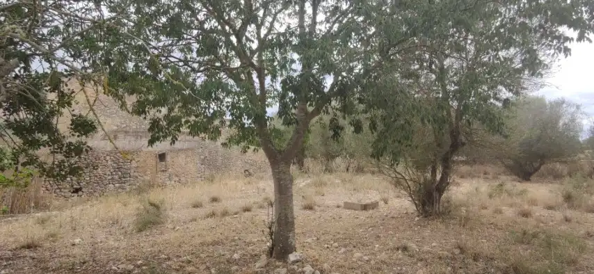 Casa rústica en venda a Manacor Centre, imagen 17