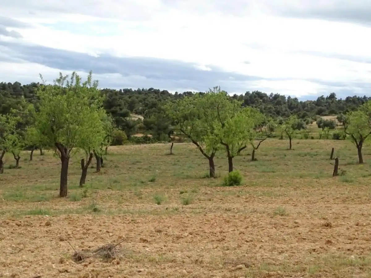 Finca rústica en venta en Cretas