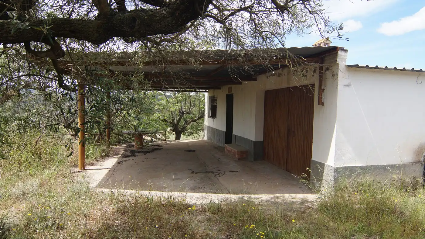 Vista exterior de Terreno en venta en Ginestar