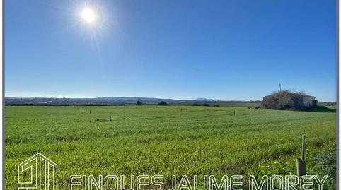 Photo 4 of Residential for sale in Vell de Muro, 1, Zona Periurbana, Illes Balears