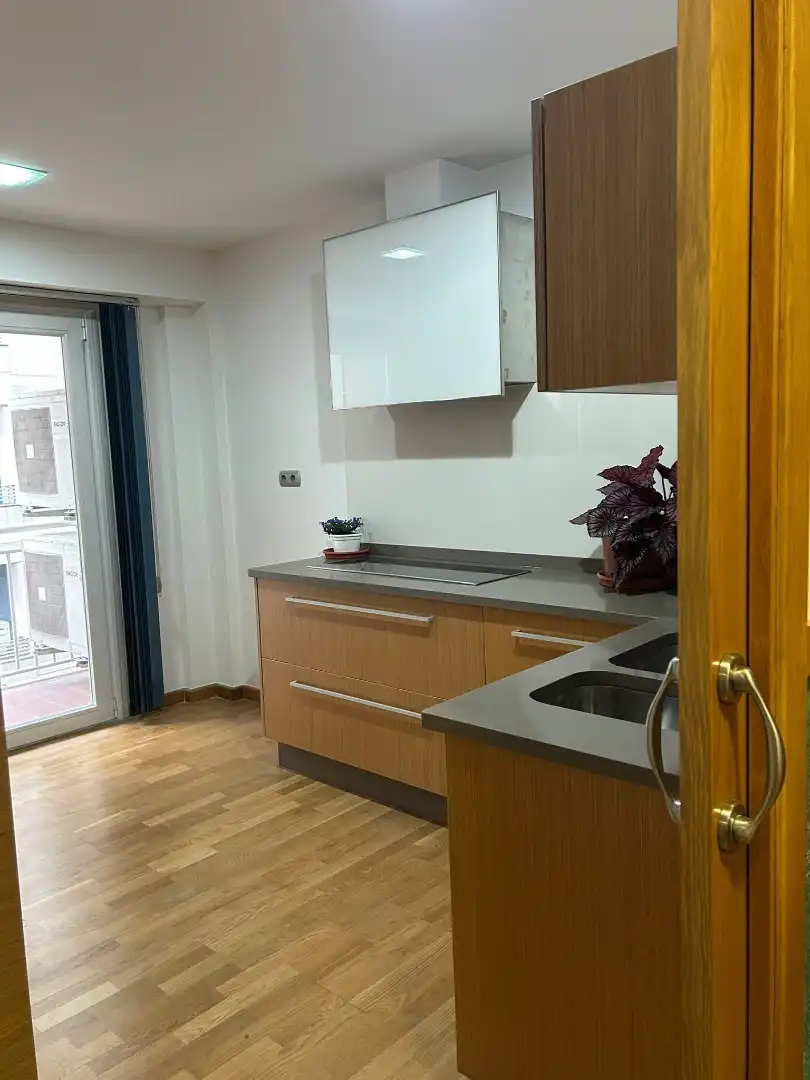 Kitchen of Apartments for sale in Ourense Capital   with Air Conditioner, Heating and Parquet flooring