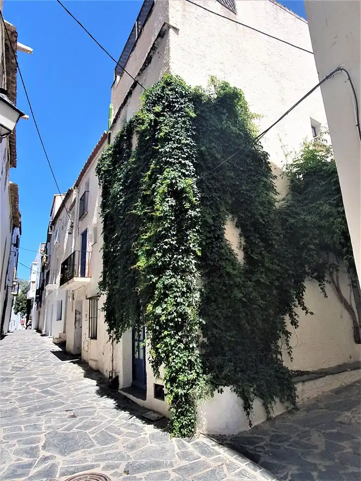 Vista exterior de Casa o xalet en venda en Cadaqués amb Terrassa