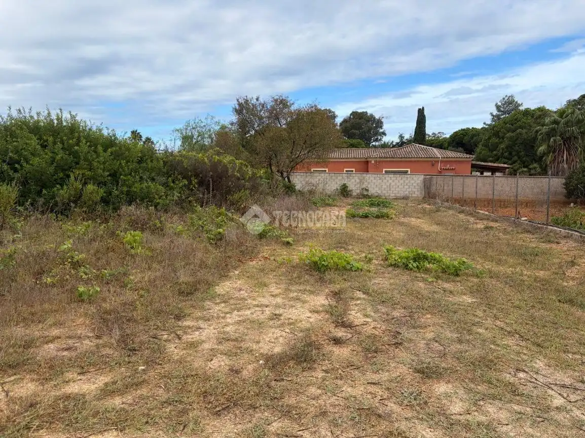 Rural land for sale in Las Lagunas - Campano, imagen 6