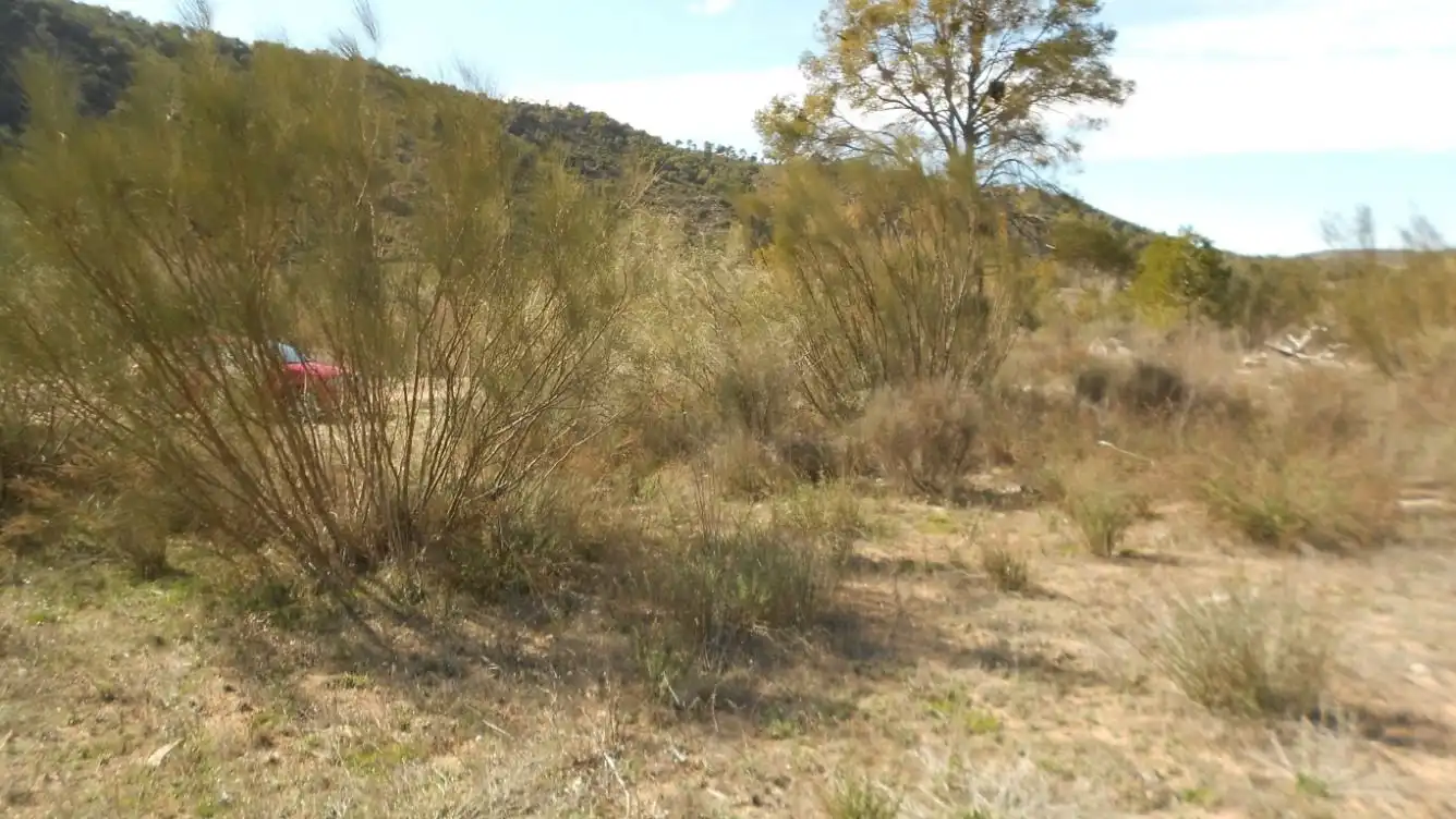 Residencial en venta en La Pobla de Massaluca