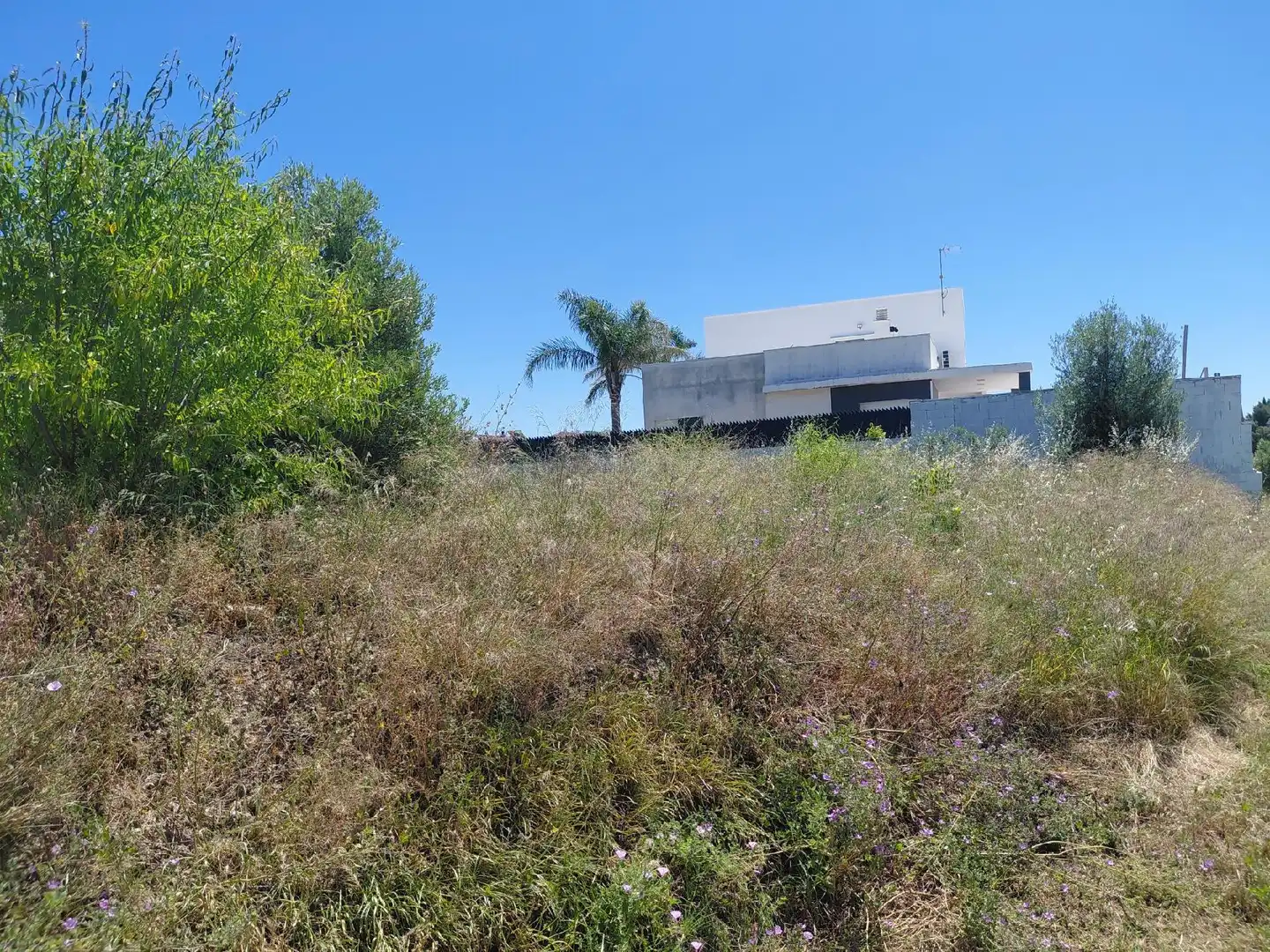 Lands and plots for sale in Banyeres del Penedès, imagen 14
