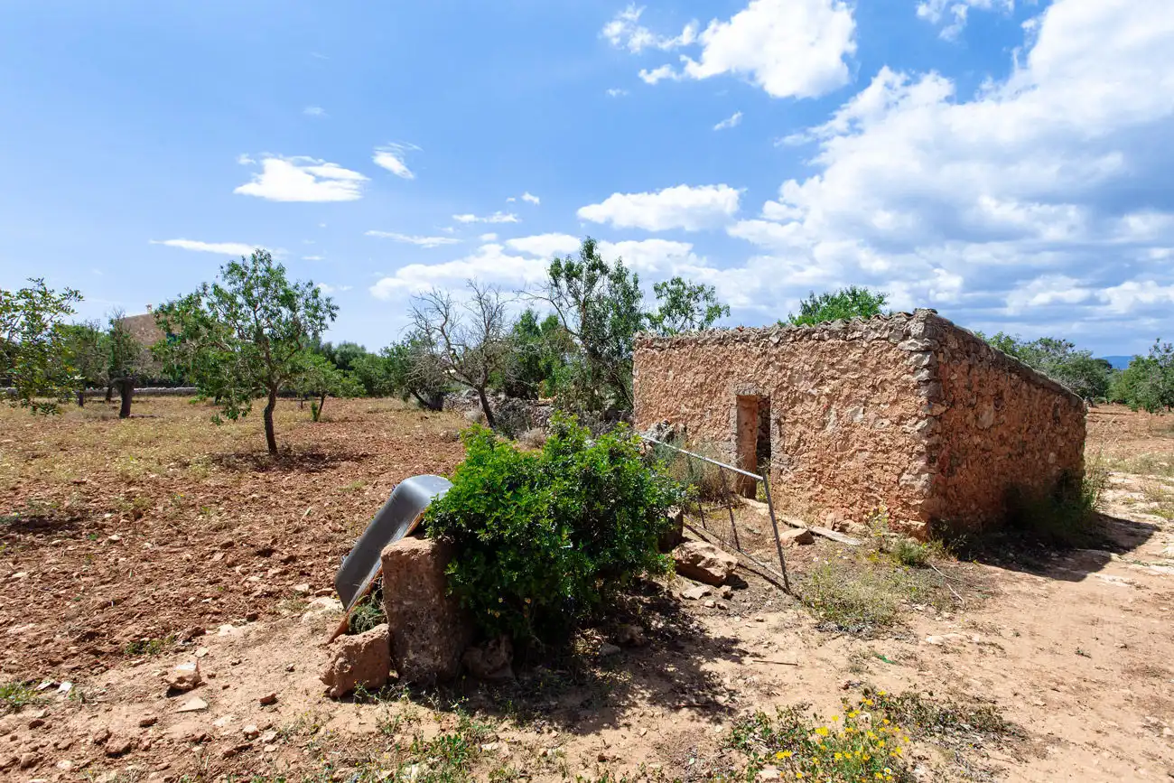 Terrenys i solars en venda a Felanitx Poble, imagen 14