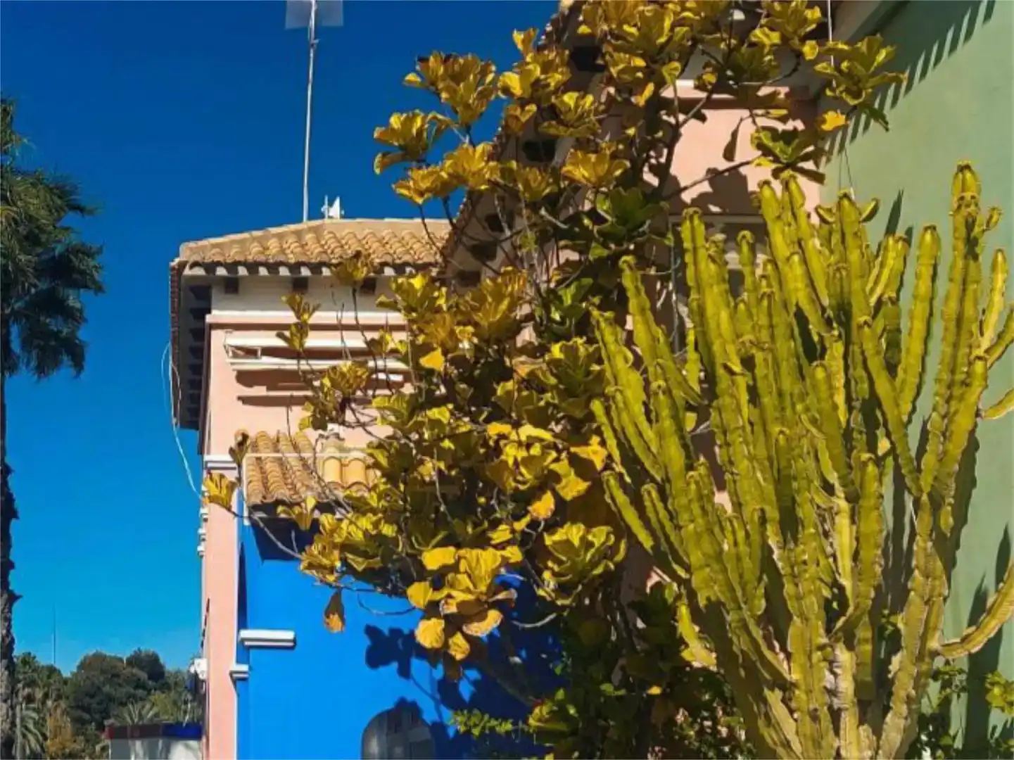 Außenansicht von Wohnungen zur Miete in Torrevieja mit Klimaanlage, Schwimmbad und Balkon