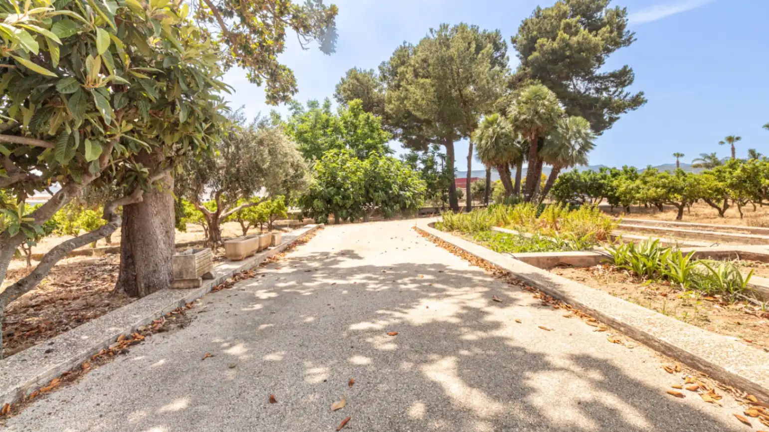 Jardí de Finca rústica en venda en Beniarbeig amb Jardí privat, Terrassa i Traster